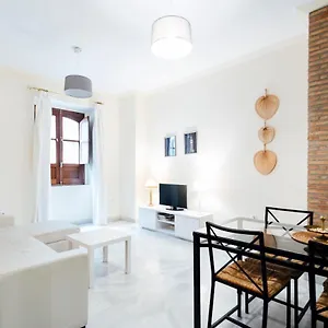 Alohamundi Zaragoza Iv Sevilla