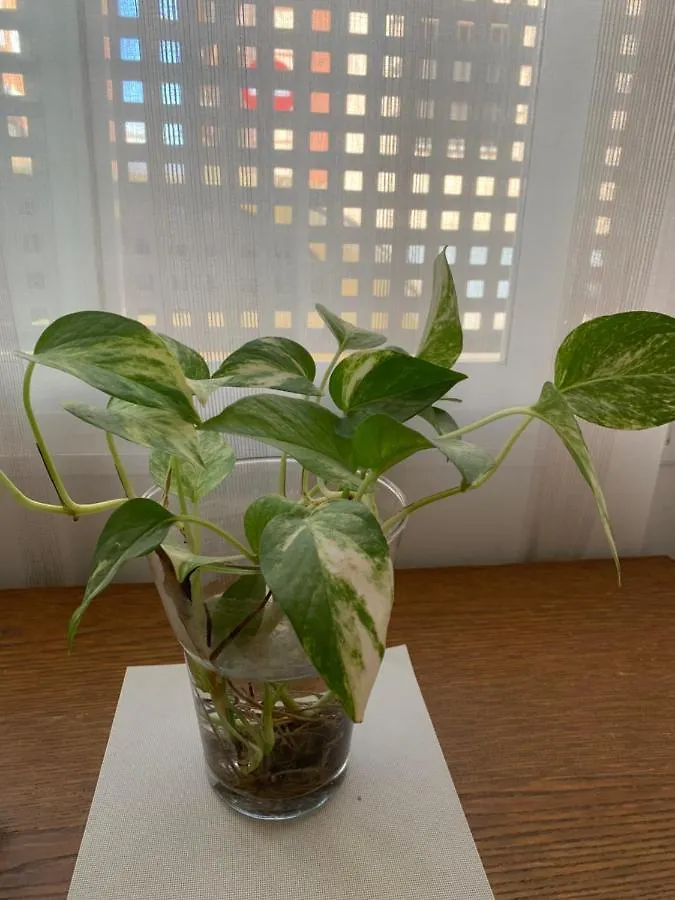Loft Funcional Cerca Del Centro Apartamento Sevilha
